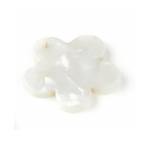 LA PAMPILLE FLEUR BLANCHE
