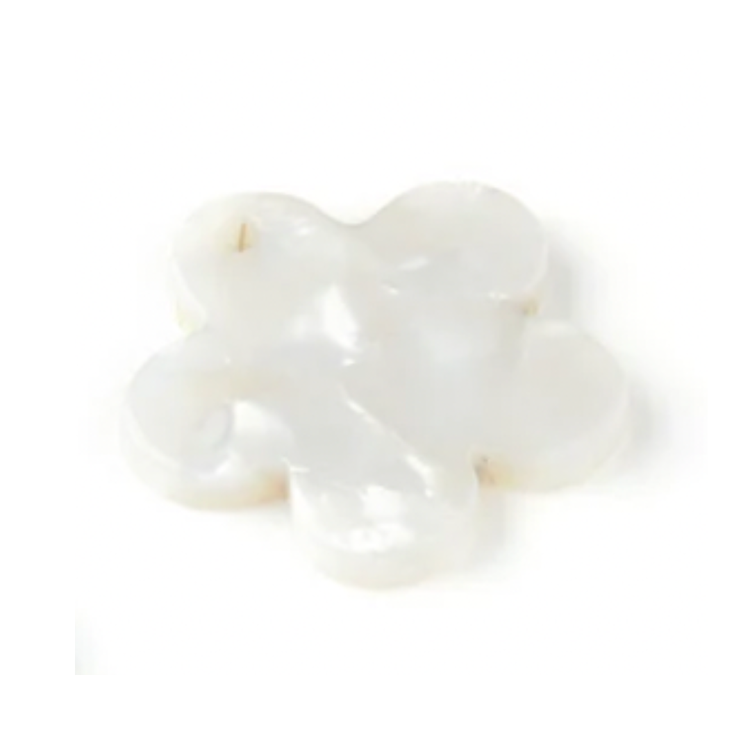 LA PAMPILLE FLEUR BLANCHE